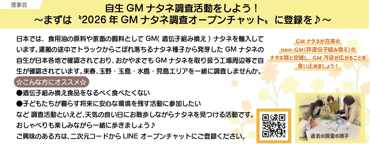 2026年自生GMナタネ調査オープンチャット”開設しました♪ - グリーン 